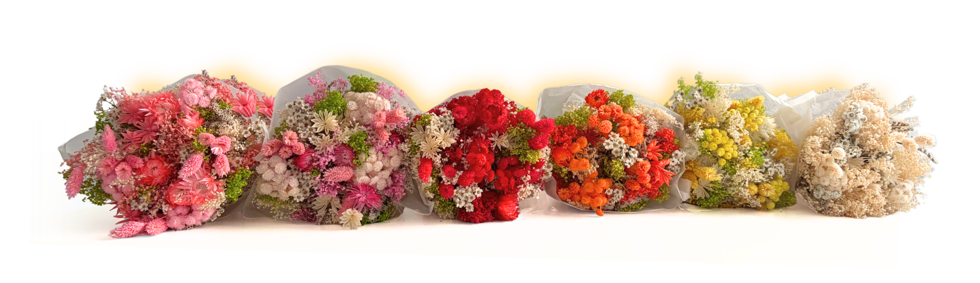 Fiori stabilizzati: cosa sono, quanto durano, tutto quello che non sai